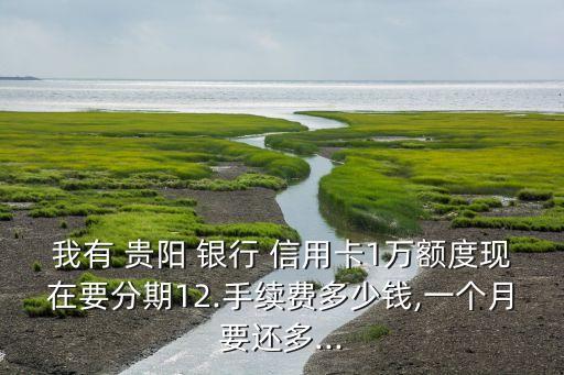 贵阳银行信用卡分期3万