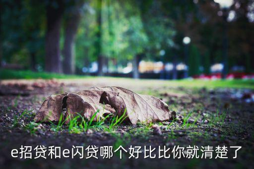 e招贷和e闪贷哪个好比比你就清楚了