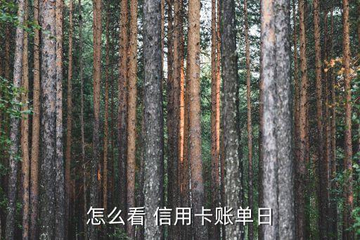 怎么看 信用卡账单日