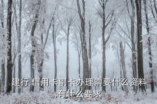  建行 信用卡副卡办理需要什么资料,有什么要求