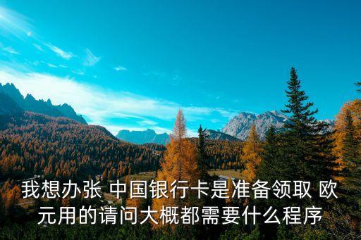 我想办张 中国银行卡是准备领取 欧元用的请问大概都需要什么程序