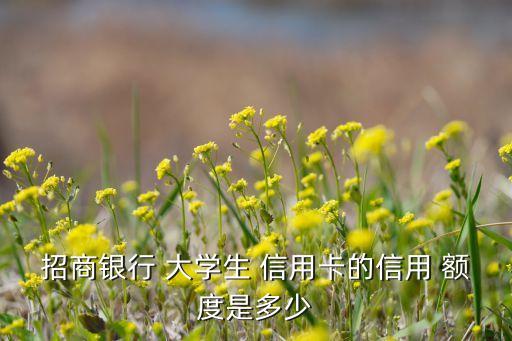 大学生有多少信用卡额度,建行大学生信用卡额度1元