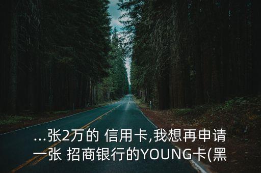 ...张2万的 信用卡,我想再申请一张 招商银行的YOUNG卡(黑
