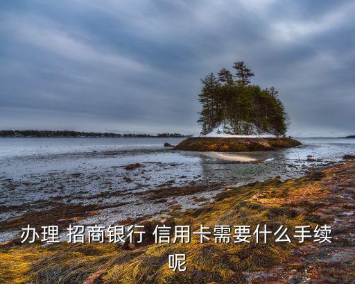 招商银行信用卡备案