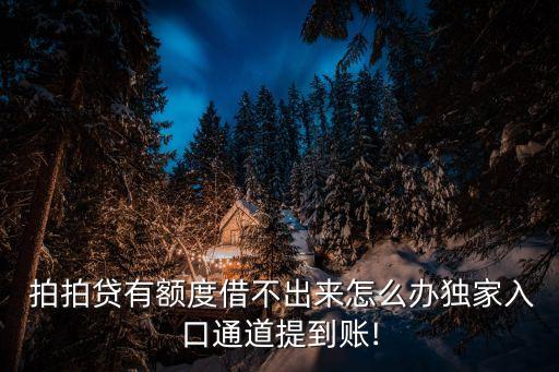 拍拍贷怎么申请信用卡