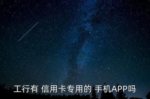 工行有 信用卡专用的 手机APP吗