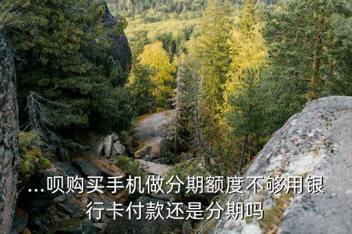 ...呗购买手机做分期额度不够用银行卡付款还是分期吗