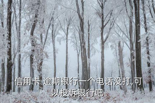  信用卡 逾期银行一个电话没打,可以投诉银行吧