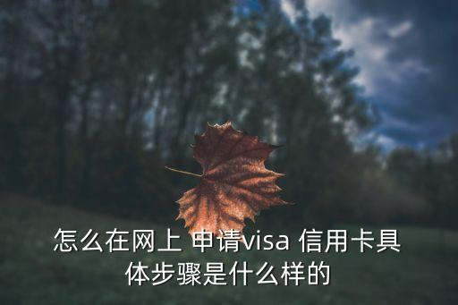 怎么在网上 申请visa 信用卡具体步骤是什么样的
