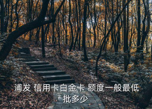  浦发 信用卡白金卡 额度一般最低批多少
