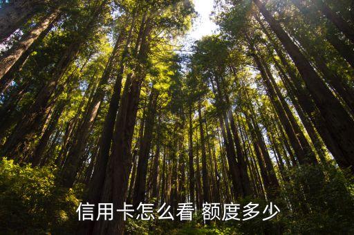  信用卡怎么看 额度多少