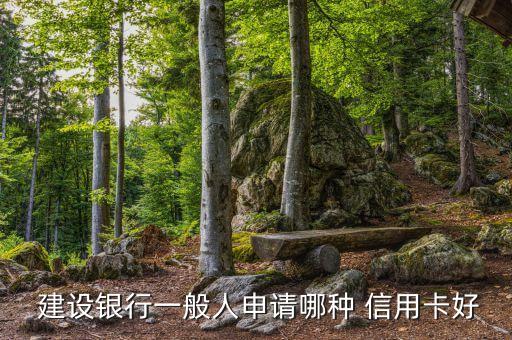  建设银行一般人申请哪种 信用卡好