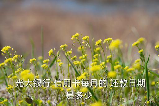  光大银行 信用卡每月的 还款日期是多少