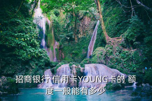 招商银行 信用卡YOUNG卡的 额度一般能有多少