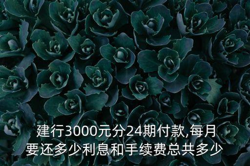  建行3000元分24期付款,每月要还多少利息和手续费总共多少