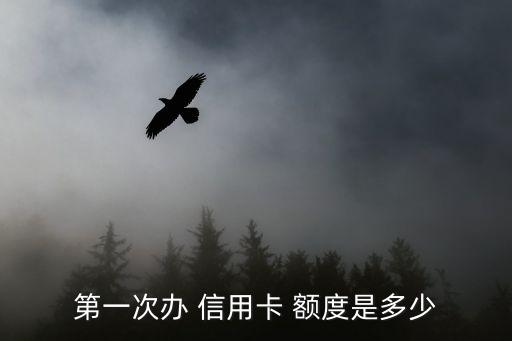 首次信用卡申请额度,工商银行信用卡哪个额度高好申请