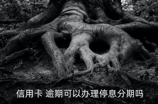  信用卡 逾期可以办理停息分期吗