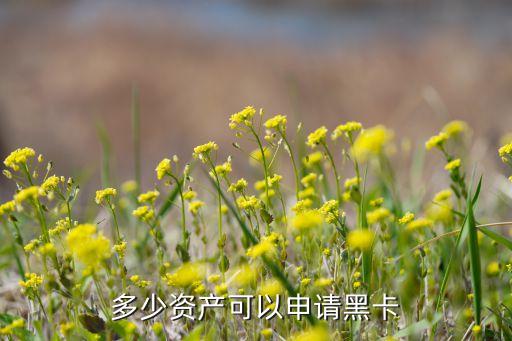 多少资产可以申请黑卡