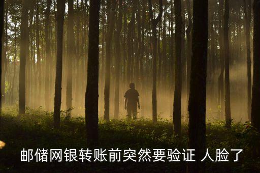  邮储网银转账前突然要验证 人脸了