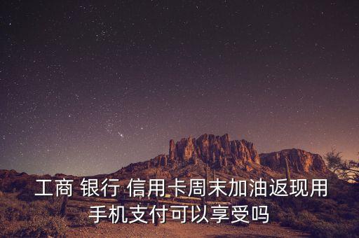  工商 银行 信用卡周末加油返现用手机支付可以享受吗