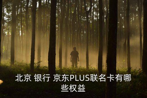北京 银行 京东PLUS联名卡有哪些权益