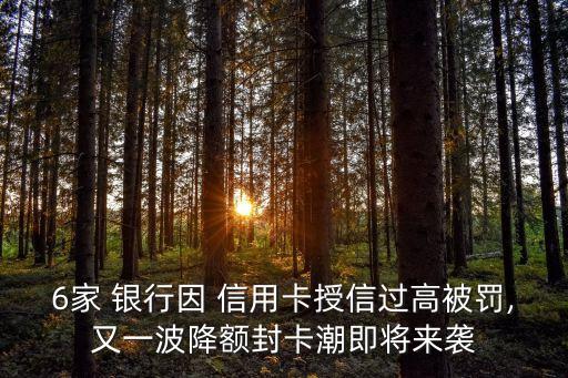 6家 银行因 信用卡授信过高被罚,又一波降额封卡潮即将来袭