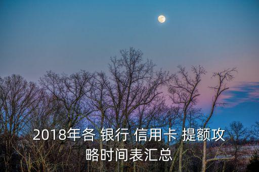 哪个银行信用卡出国会提额