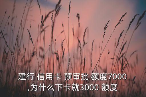 预审批信用卡额度多少合适,中国银行信用卡预审批额度在哪里看