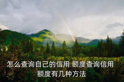 怎么查询自己的信用 额度查询信用 额度有几种方法