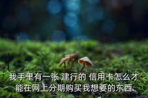 我手里有一张 建行的 信用卡怎么才能在网上分期购买我想要的东西