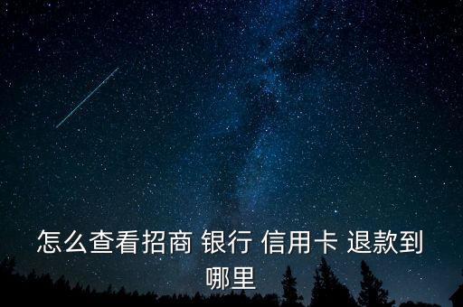 怎么查看招商 银行 信用卡 退款到哪里