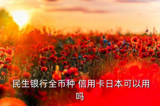  民生银行全币种 信用卡日本可以用吗
