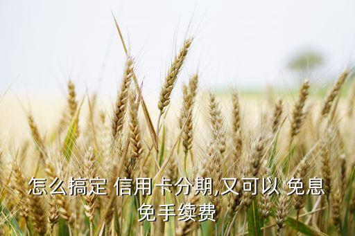 怎么搞定 信用卡分期,又可以 免息免手续费