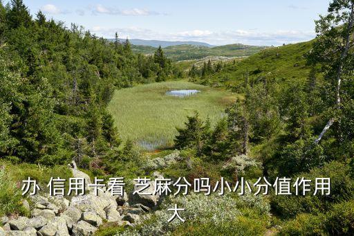申请信用卡和芝麻信用有关系吗,芝麻信用700申请信用卡额度