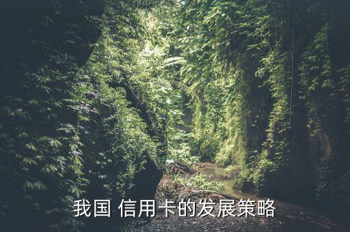我国 信用卡的发展策略