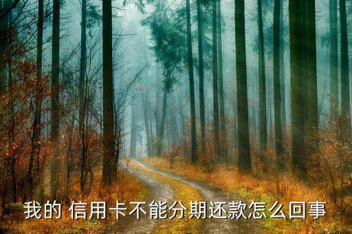 我的 信用卡不能分期还款怎么回事