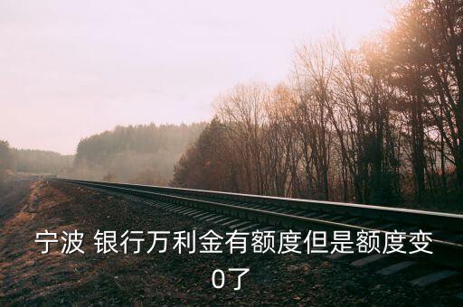  宁波 银行万利金有额度但是额度变0了