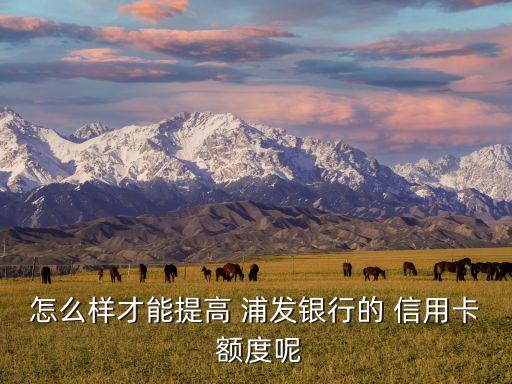 怎么样才能提高 浦发银行的 信用卡 额度呢