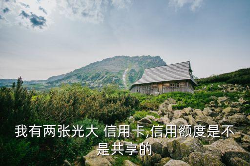 我有两张光大 信用卡,信用额度是不是共享的
