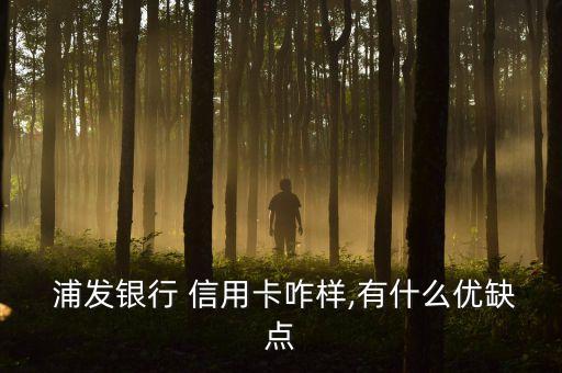 浦发银行信用卡叫什么用,办浦发银行信用卡有什么影响吗