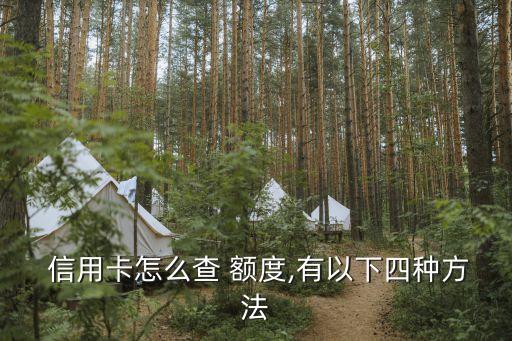  信用卡怎么查 额度,有以下四种方法