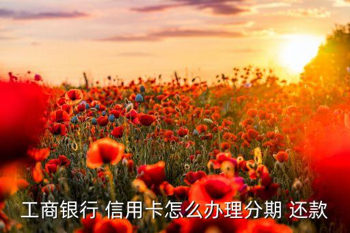 工商银行 信用卡怎么办理分期 还款