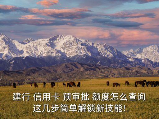 建行 信用卡 预审批 额度怎么查询这几步简单解锁新技能!