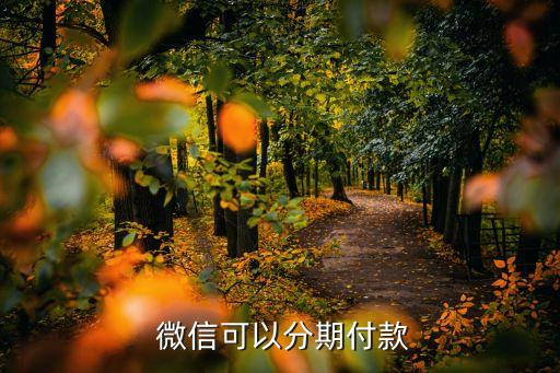 微信可以分期付款