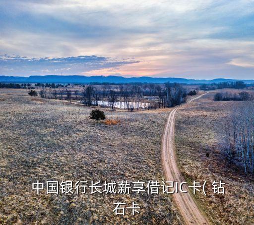  中国银行长城薪享借记IC卡( 钻石卡