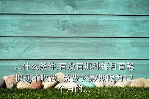...什么条件,有没有那种每月首笔提现不收费, 免费 还款期限为12个月的...
