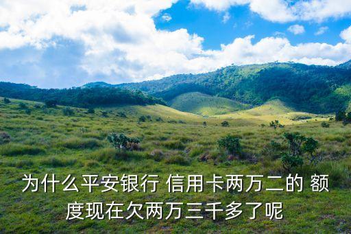 为什么平安银行 信用卡两万二的 额度现在欠两万三千多了呢