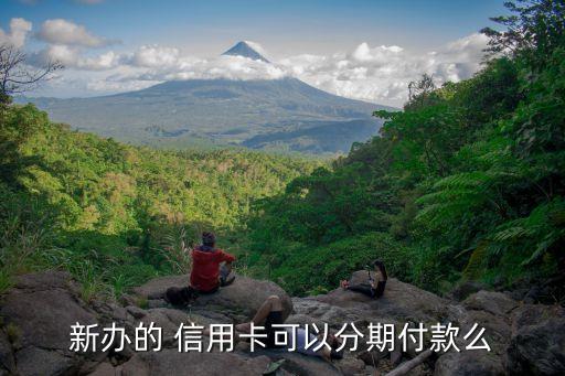 新办的 信用卡可以分期付款么