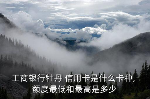 工商银行牡丹 信用卡是什么卡种, 额度最低和最高是多少