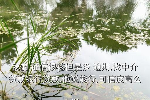 我的 征信很花但是没 逾期,找中介贷款银行贷款,他说能行,可信度高么...